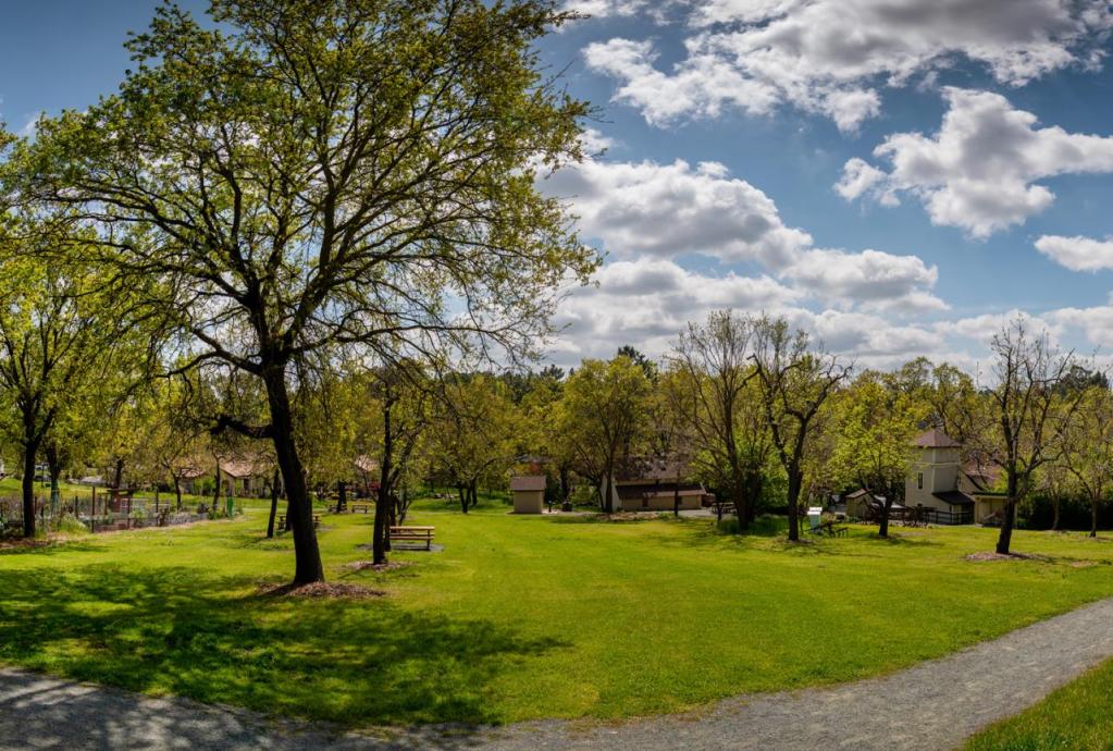 A park in Walnut Creek, CA in the Bay Area